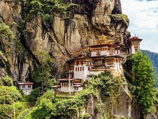 Пазл «Гнездо тигрицы»