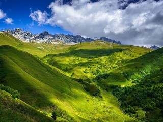 Пазл #55717