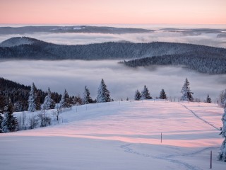 Пазл #39642