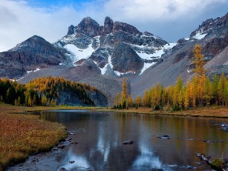 Пазл #51448