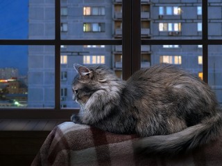 Пазл #30037