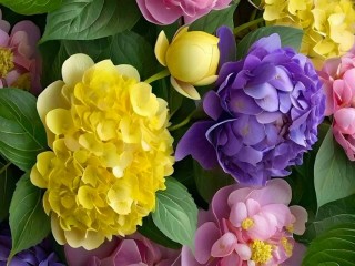 Пазл «Гортензия»