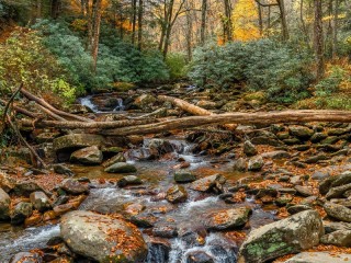 Пазл «Great Smoky Mountains National Park»