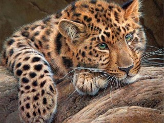 Пазл #59609