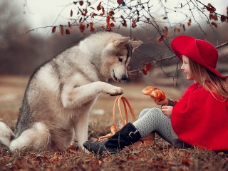 Пазл #53800
