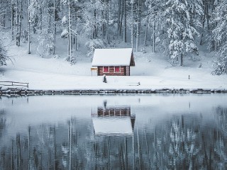 Пазл #54807