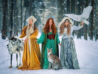 Пазл #47222