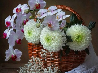 Пазл «Хризантемы и орхидеи»