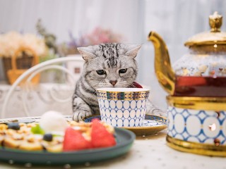 Пазл #6744