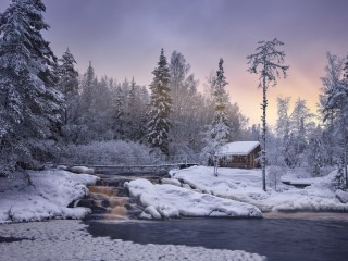 Пазл #70873
