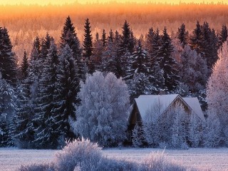 Пазл #50807