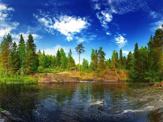 Пазл #54565