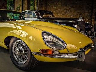 Пазл «Jaguar»