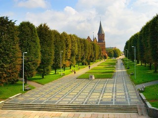 Пазл #960