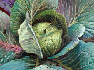 Пазл «Капуста»