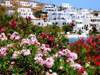 Пазл «Каравостаси»