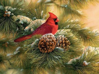 Пазл «Кардинал на ветке»