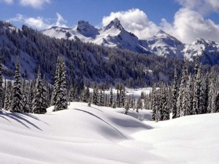 Пазл «Карпаты»