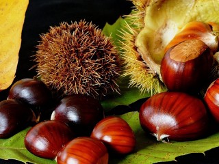 Пазл «Каштаны»