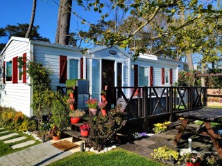 Пазл «Кемпинг»