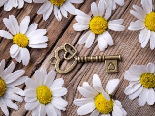 Пазл «Ключик»