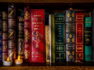 Пазл «Книжная полка»