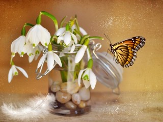 Пазл «Коллаж»