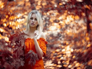 Пазл #47222