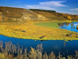 Пазл #49961