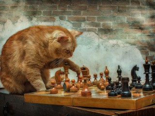 Пазл #37778