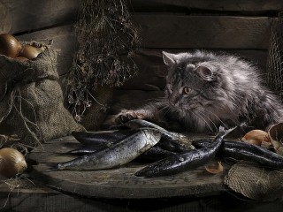 Пазл «Кот и селёдка»
