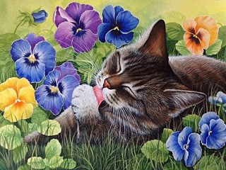 Пазл #62203