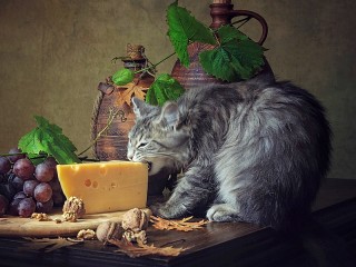 Пазл #28735