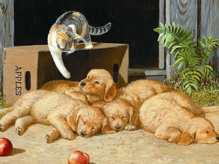Пазл #49513