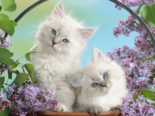 Пазл #332