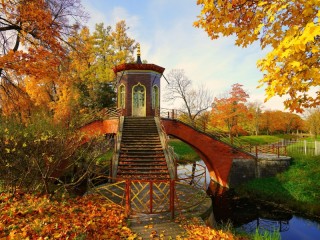 Пазл #43126