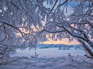 Пазл «Кружевная зима»