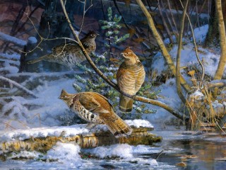 Пазл «Куропатки»