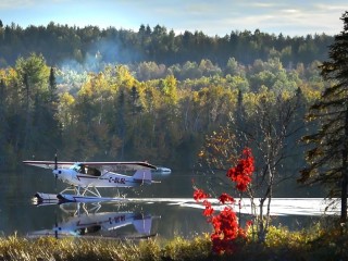 Пазл #49796