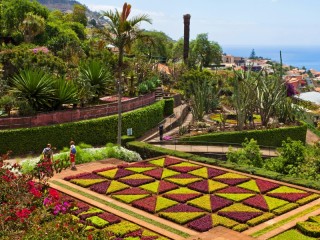 Пазл «Ландшафтный дизайн»
