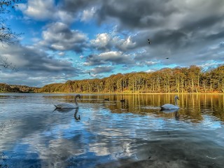 Пазл #77