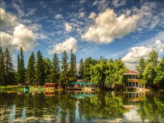 Пазл #60264