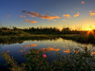 Пазл #7547