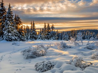 Пазл «Lillehammer»