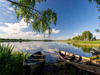 Пазл #47281