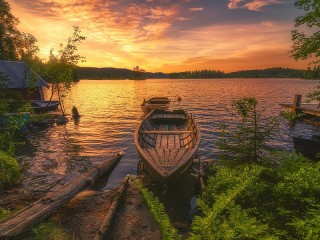 Пазл #30585