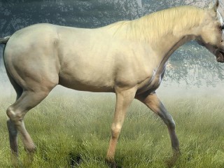 Пазл #55448