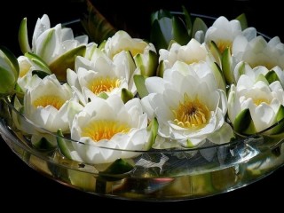 Пазл #6492