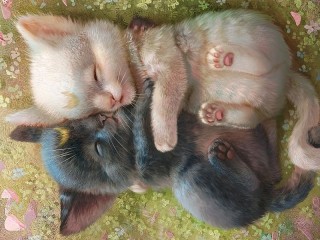 Пазл #33328
