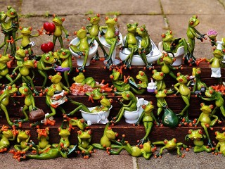 Пазл «Лягушки»